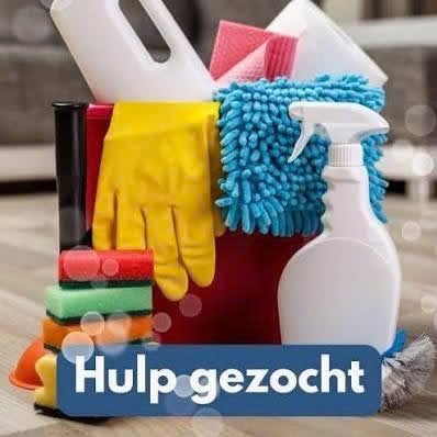 Gezocht: Betrouwbare schoonmaakster/huishoudelijke hulp, Overige niveaus, Starter, Overige vormen
