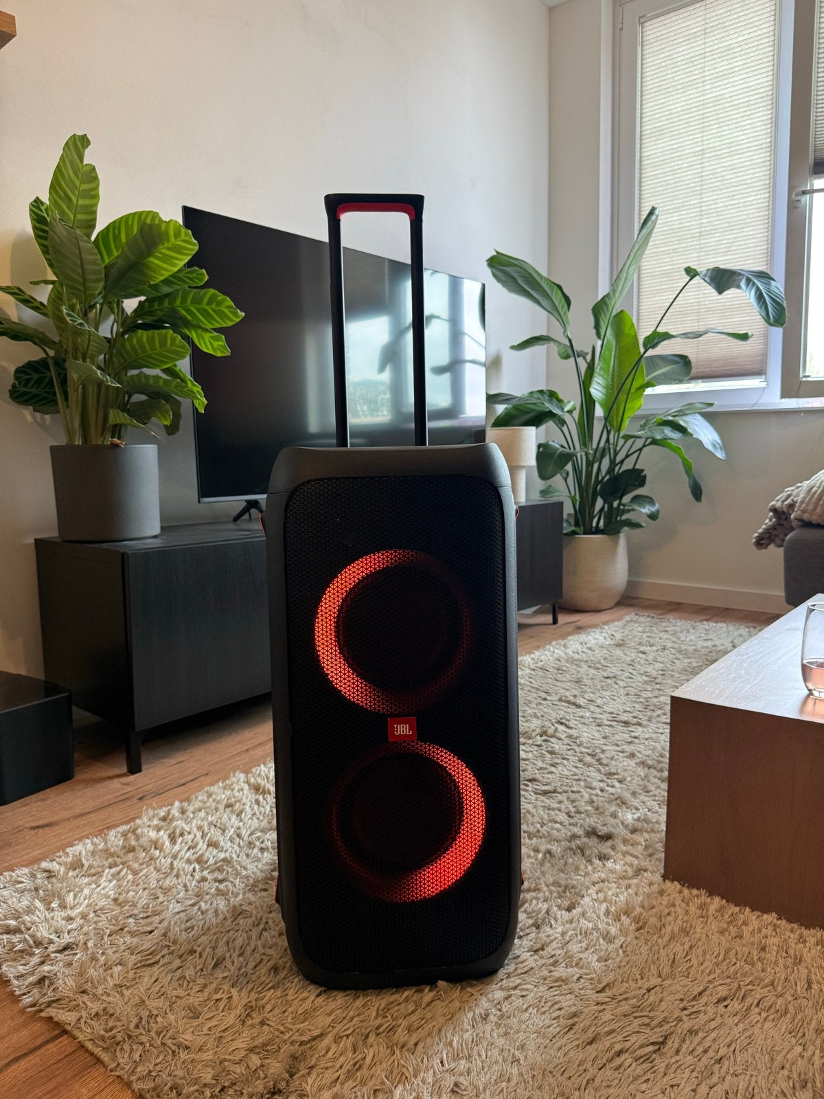 JBL PartyBox 310 - Krachtige Party Speaker met Lichteffecten