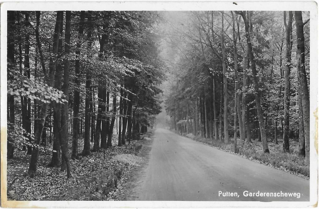 Putten, Garderenscheweg, Garderenseweg, bosweg, bos, bomen, Verzenden, 1940 tot 1960, Ongelopen, Gelderland