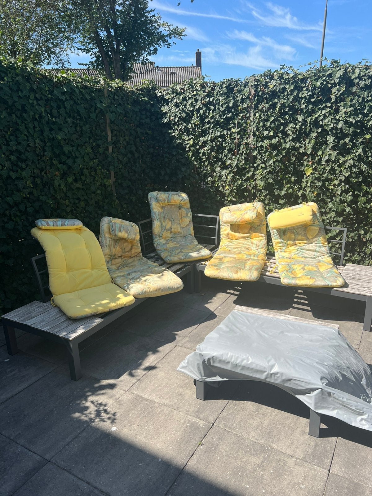 Palm Collect tuinkussens Nieuw, Ophalen, Nieuw