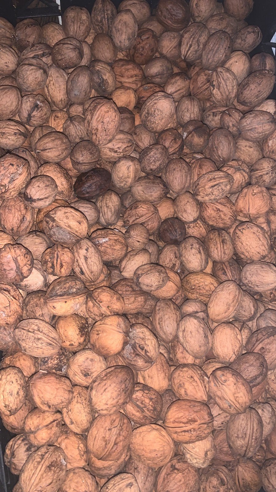 Biologische gedroogde walnoten, Diversen, Levensmiddelen, Ophalen