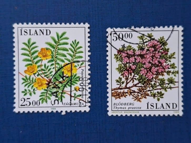 Postzegel Ijsland 1984 en 1988 2 zegels Bloemen 20-10, Postzegels en Munten, Ophalen of Verzenden, IJsland, Gestempeld