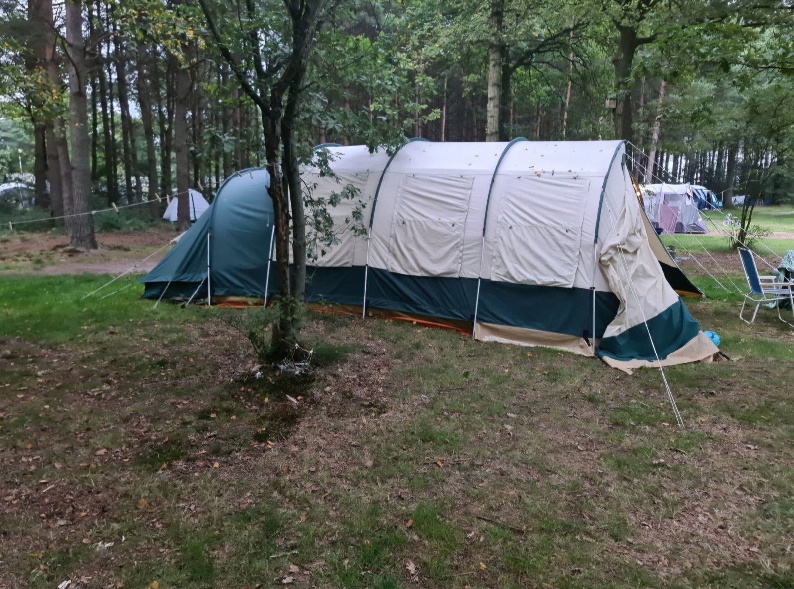 Ruime tunneltent Obelink voor 5-6 personen, Ophalen, Gebruikt, Tot en met 6