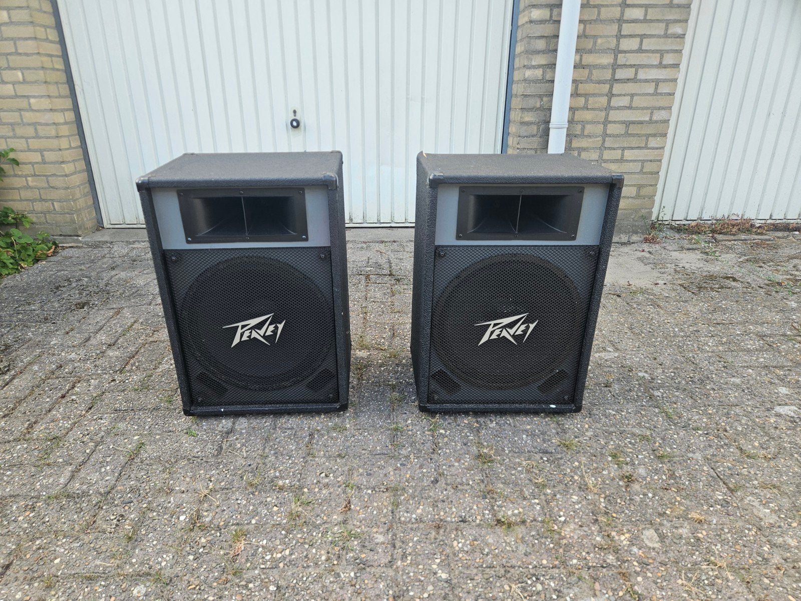 Peavey ES-15PE, Ophalen of Verzenden, Overige merken