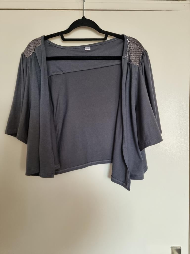 Grijze bolero met pailletten, korte mouw, maat 48-50, Ophalen of Verzenden, Jasje of Colbert, Grijs, Onbekend