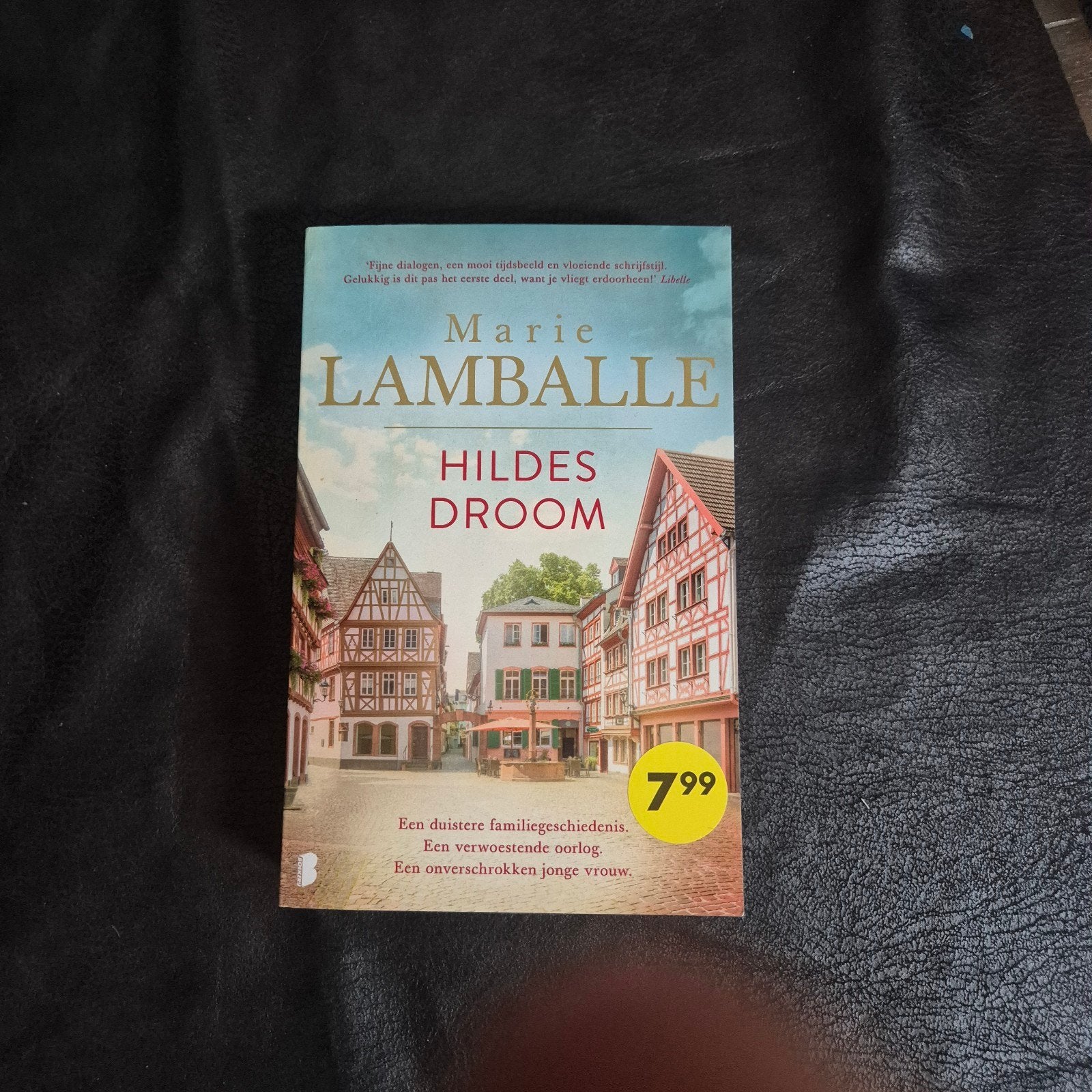 Hildes Droom - Marie Lamballe (Boek), Ophalen of Verzenden, Zo goed als nieuw, Marie Lamballe, Nederland