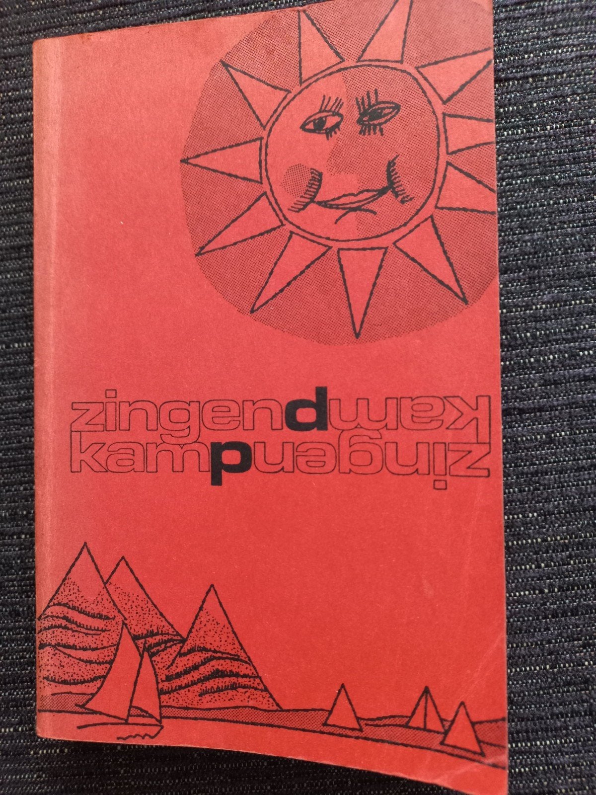 Zingend kamp, Ophalen of Verzenden, Zo goed als nieuw, Artiest