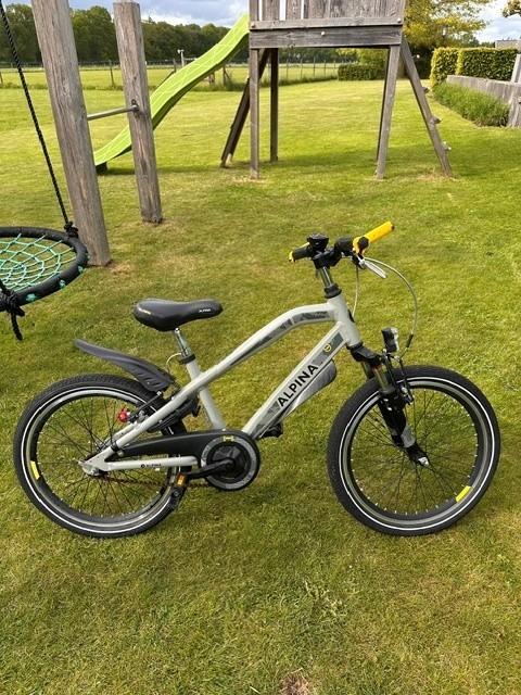 Jongensfiets 20 inch Alpina Trial, Fietsen en Brommers, Fietsen | Jongens, Ophalen, Terugtraprem, Alpina, 20 inch