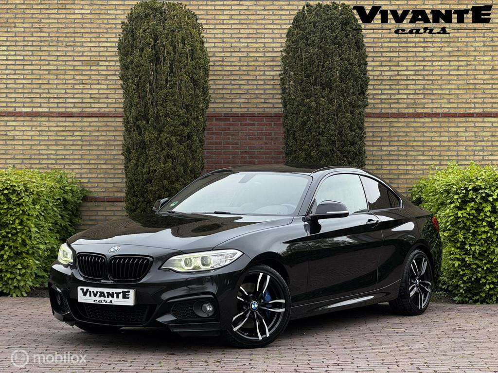 BMW 2-serie Coupé 220i High Executive M Pakket*Stoel.vrw*H&, Auto's, BMW, Bedrijf, Te koop, 2-Serie, ABS, Airbags, Airconditioning
