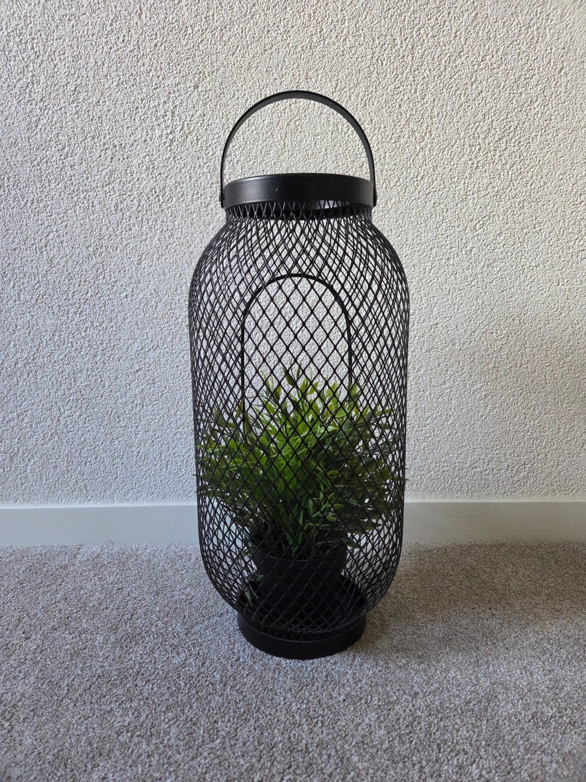Nepplant in zwarte gazen pot van IKEA, Ophalen, Windlicht, Zwart, IKEA