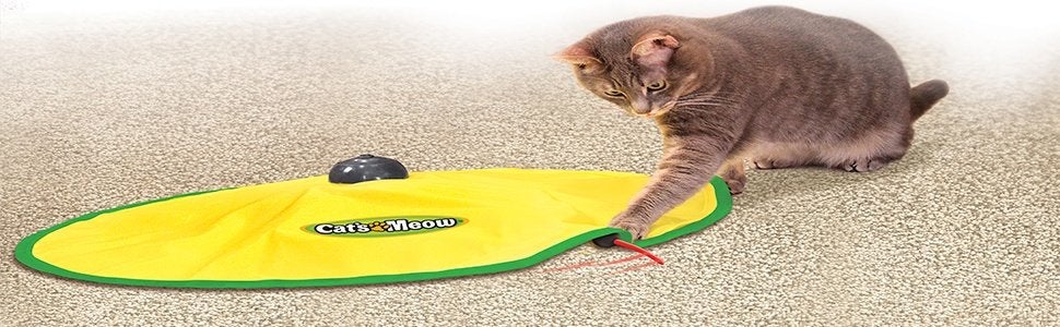 kat speel cat meow NIEUW afstandsbediening en USB oplaadbaar, Dieren en Toebehoren, Ophalen of Verzenden, Nieuw, Intelligentiespeelgoed