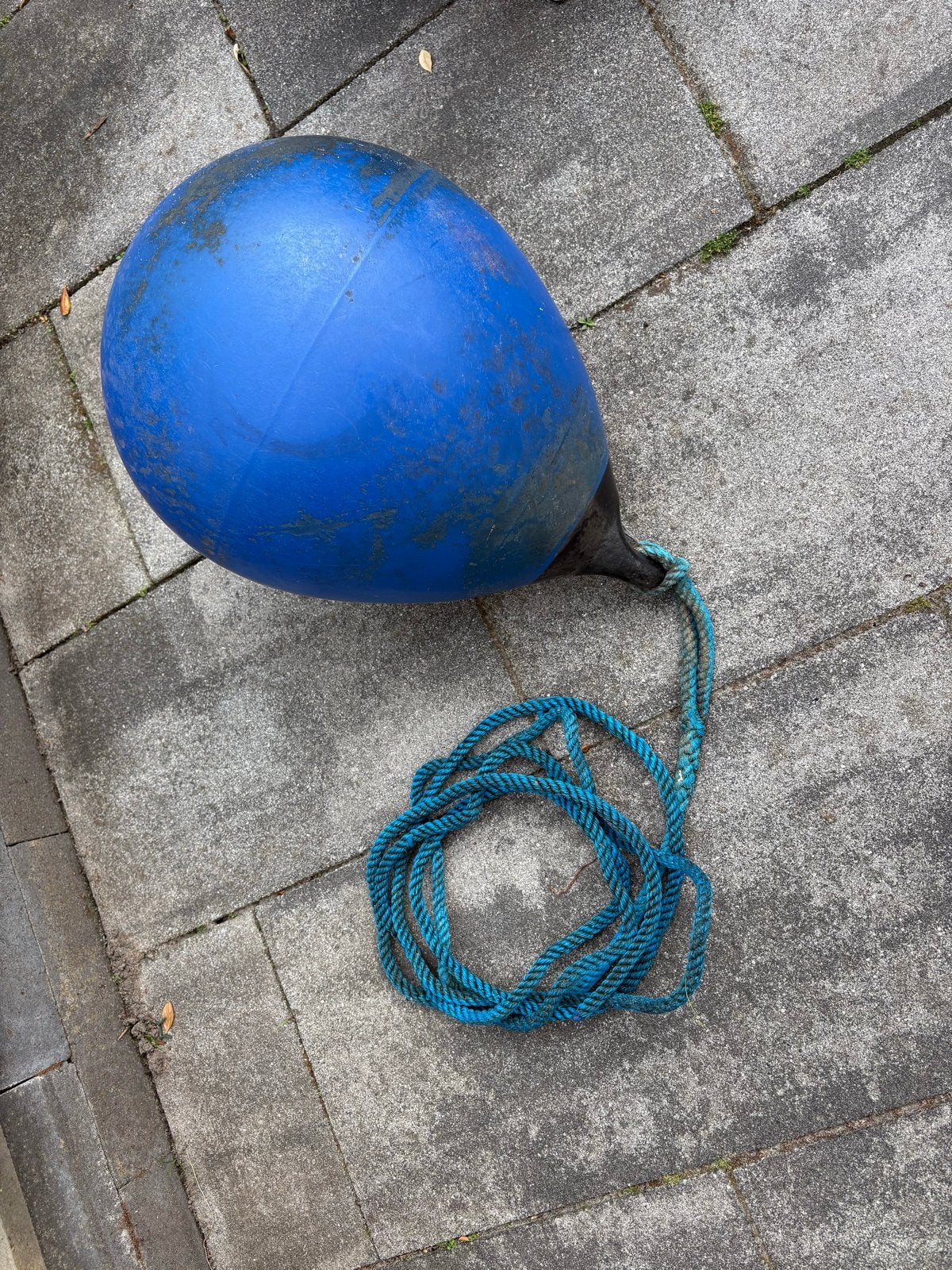 Danfender B50 stootwil / fender met lijn, Ophalen of Verzenden, Gebruikt, Overige typen