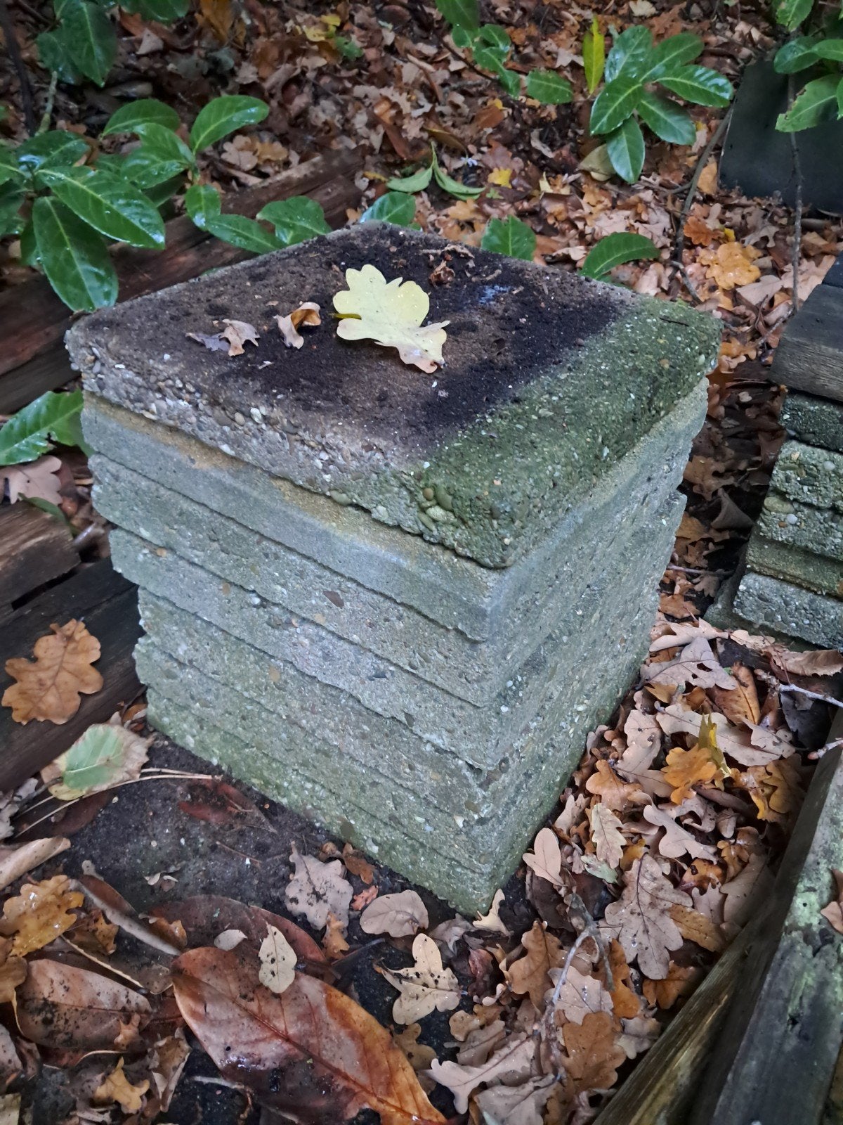 Gratis tegels 175 stuks 30x30cm, Ophalen, Gebruikt, Beton, Terrastegels