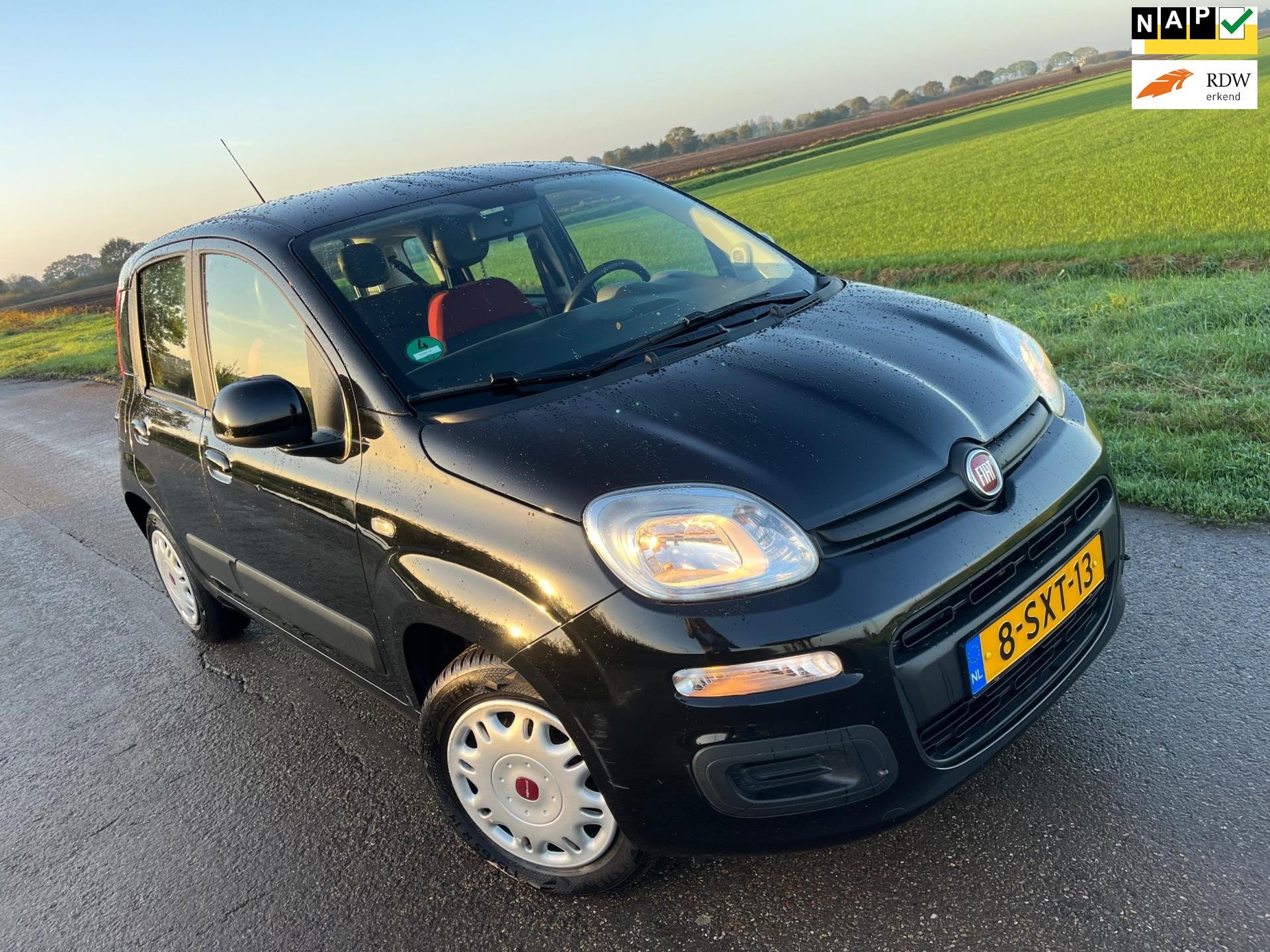 Fiat Panda 0.9 TwinAir Edizione Cool / 2013, Euro 5, Gebruikt, 31 €/maand, Panda
