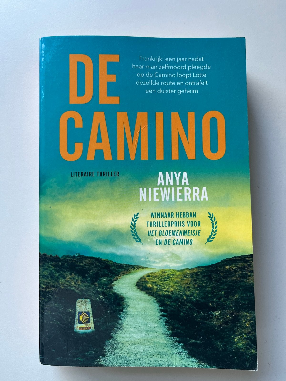 De Camino - Anya Niewierra (Literaire Thriller), Boeken, Thrillers, Ophalen of Verzenden, Gelezen, Nederland
