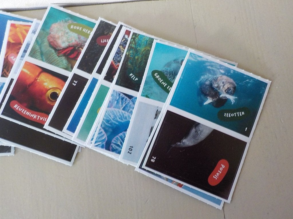 AH / Albert Heijn Oceaan Expeditie plaatjes actie uit 2022, Albert Heijn, Ophalen of Verzenden