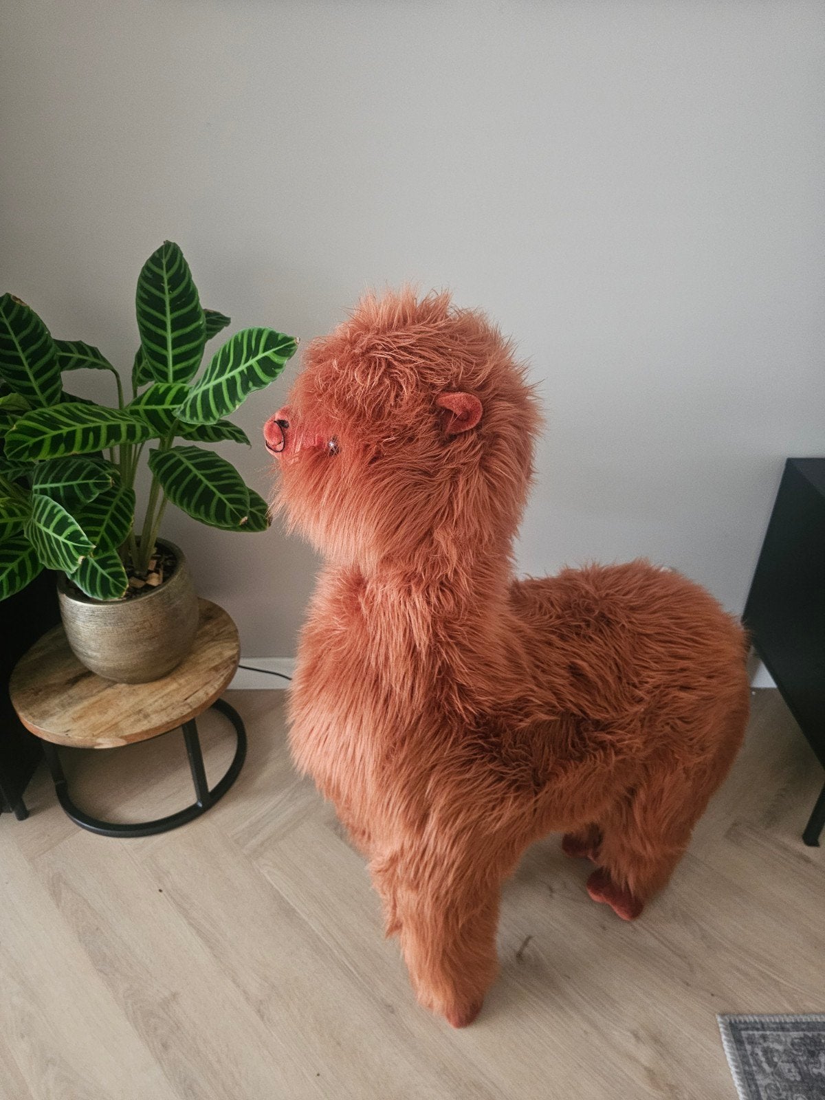Grote zachte knuffel lama, Overige typen, Ophalen of Verzenden, Zo goed als nieuw, Middelgroot (20 tot 80 cm)