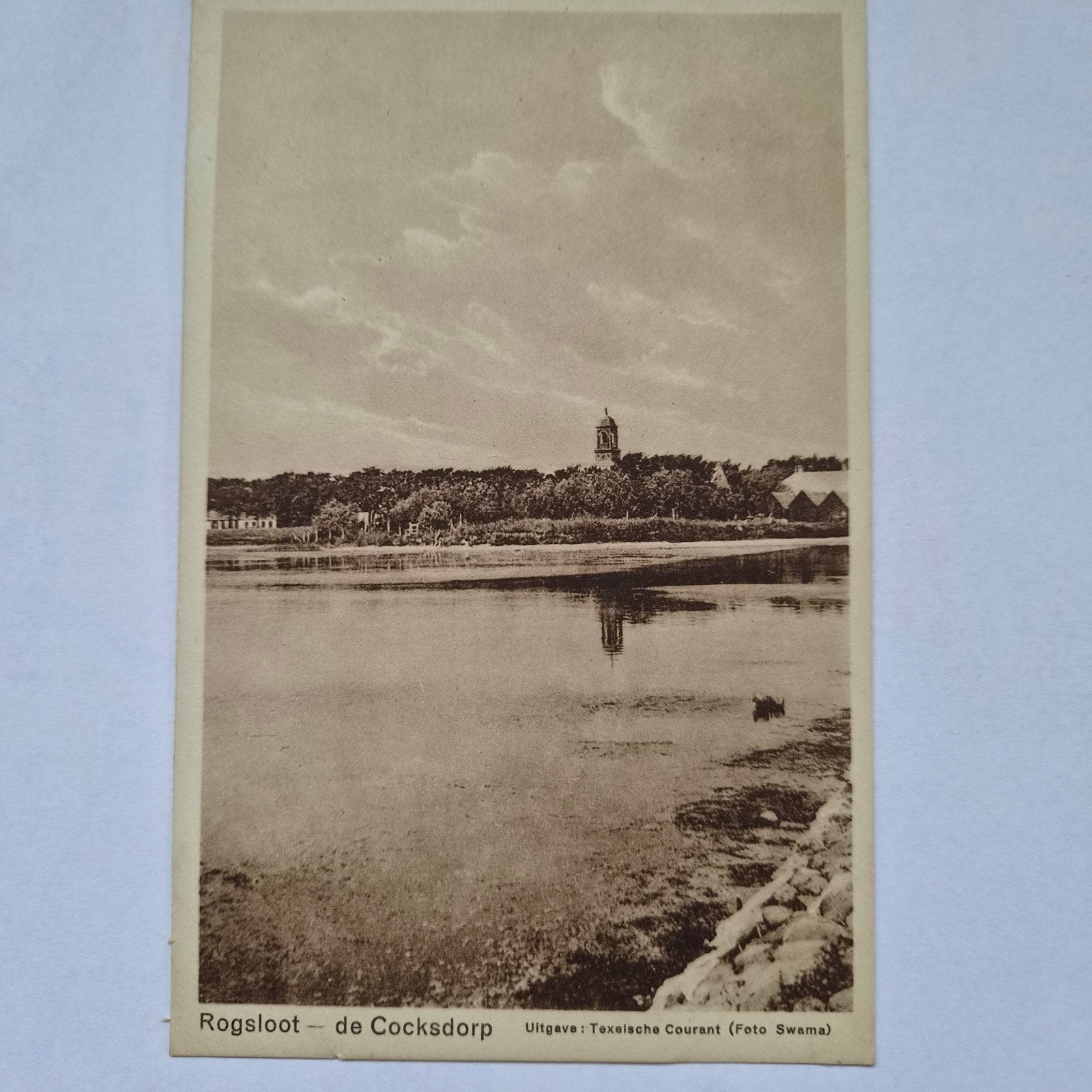Oude Ansichtkaart Rogsloot - De Cocksdorp, Texel, Verzamelen, Verzenden, Voor 1920, Ongelopen, Waddeneilanden