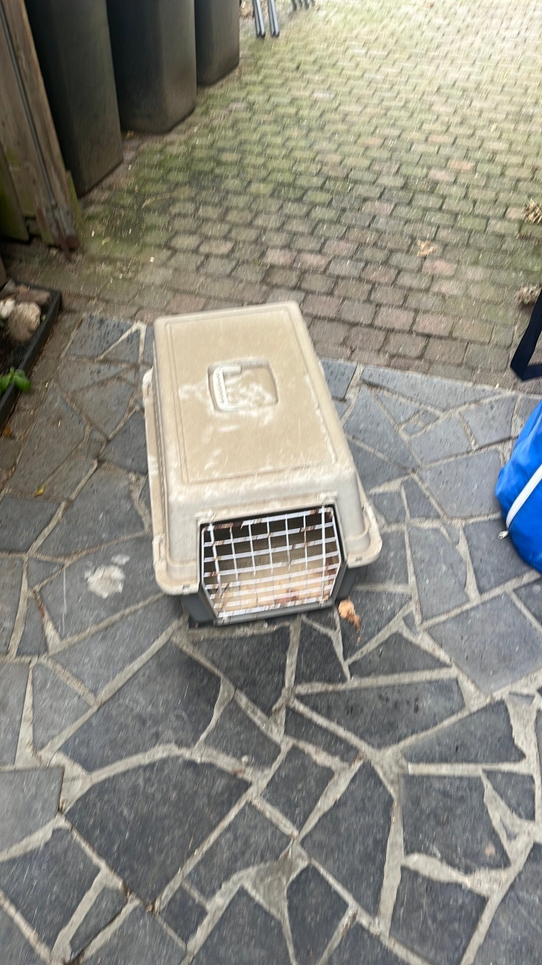 Reiskoffer transportbox konijn kat hond, Ophalen, Gebruikt