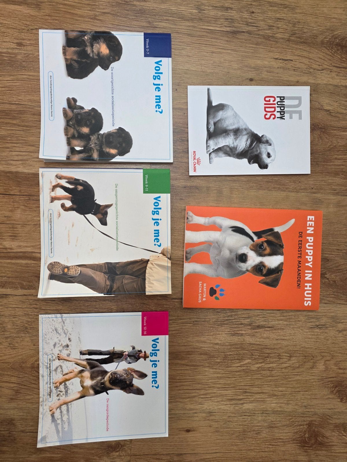 Puppy Leerboeken Set: Opvoeding en Verzorging, Ophalen of Verzenden, Zo goed als nieuw, Honden