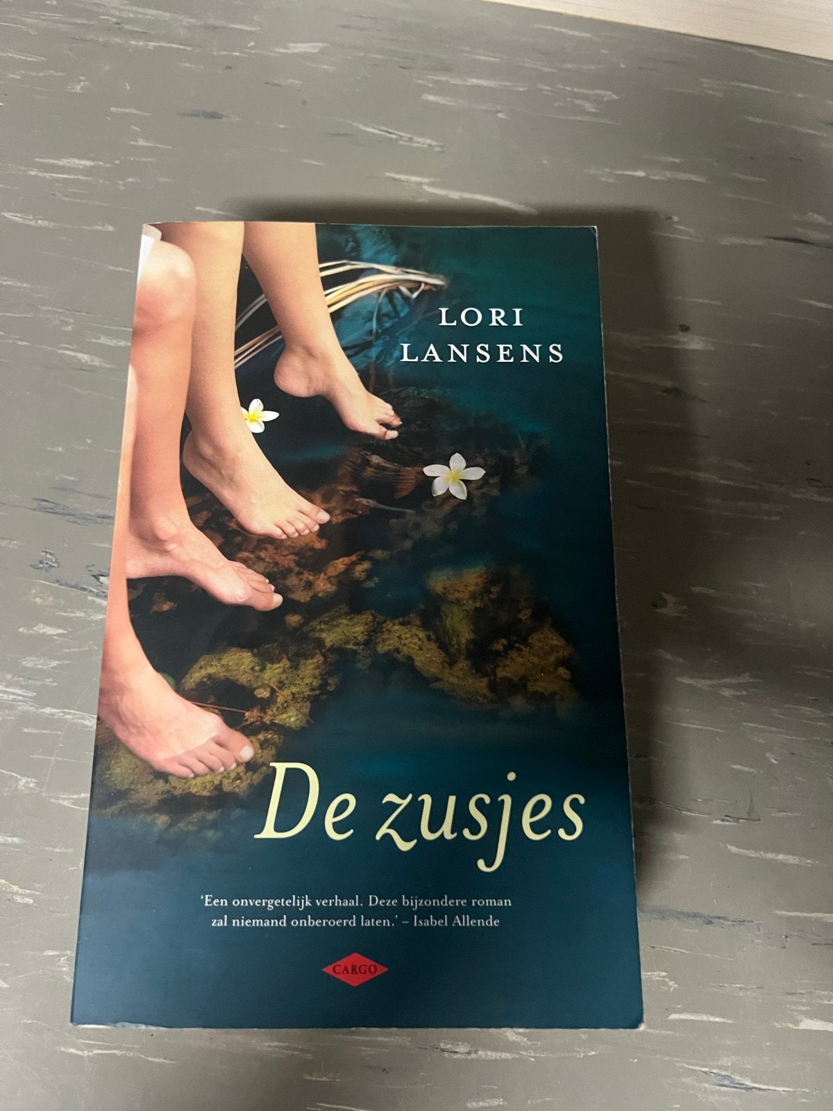 De zusjes - Lori Lansens (Boek), Ophalen of Verzenden, Zo goed als nieuw, Nederland