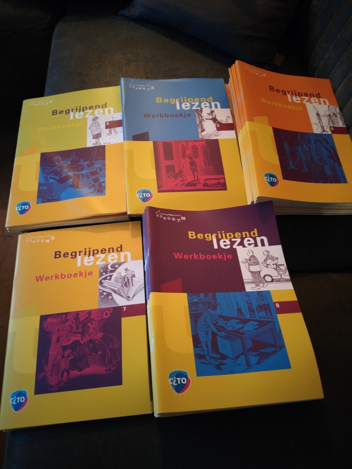 Begrijpend Lezen Werkboekje CITO Leerlingvolgsysteem, Ophalen, Zo goed als nieuw, Overige niveaus, Nederlands