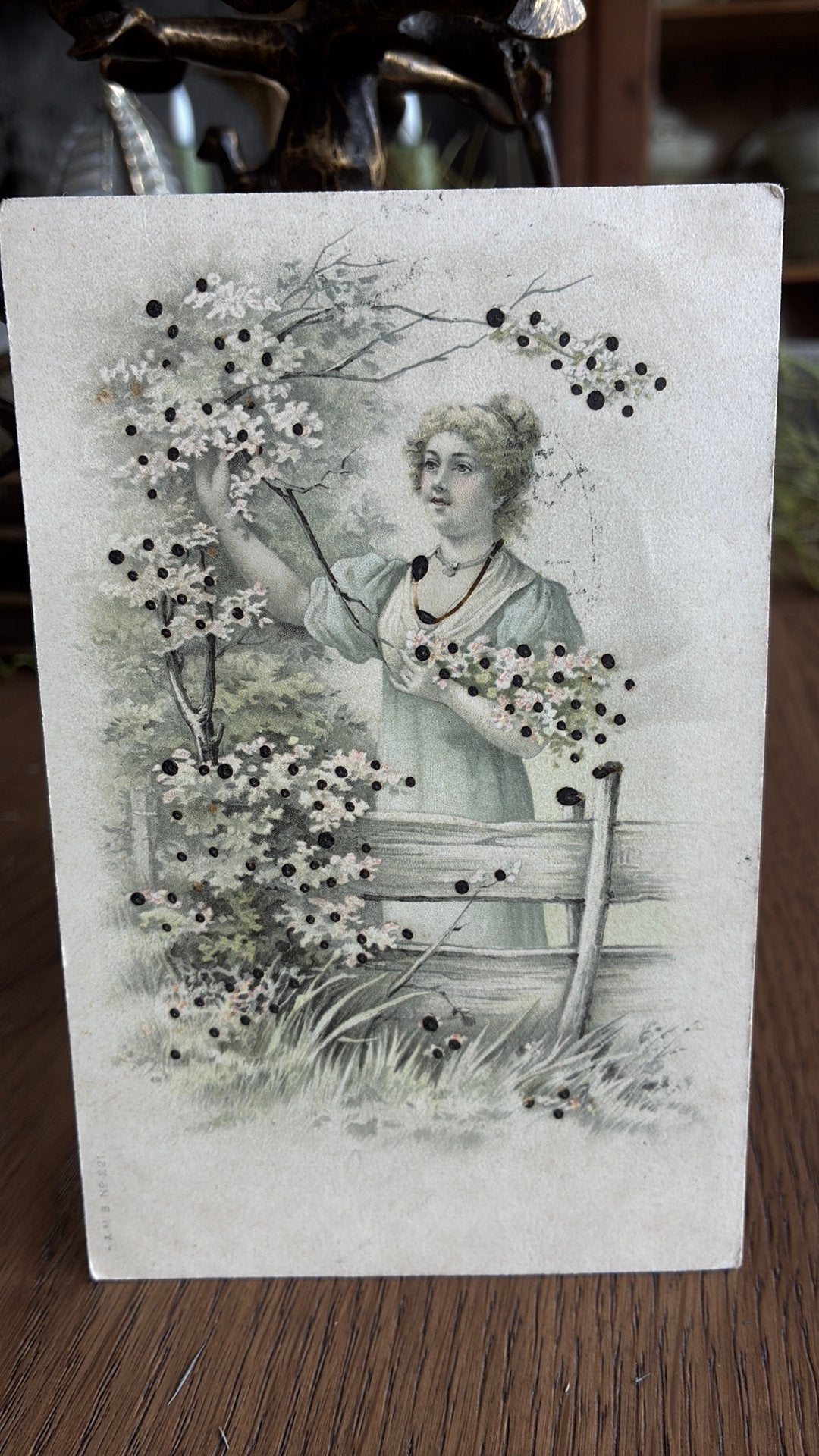 Getekend. Portret vrouw.1903. Boom, bloesem., Ophalen of Verzenden, Voor 1920, Gelopen, Overige thema's