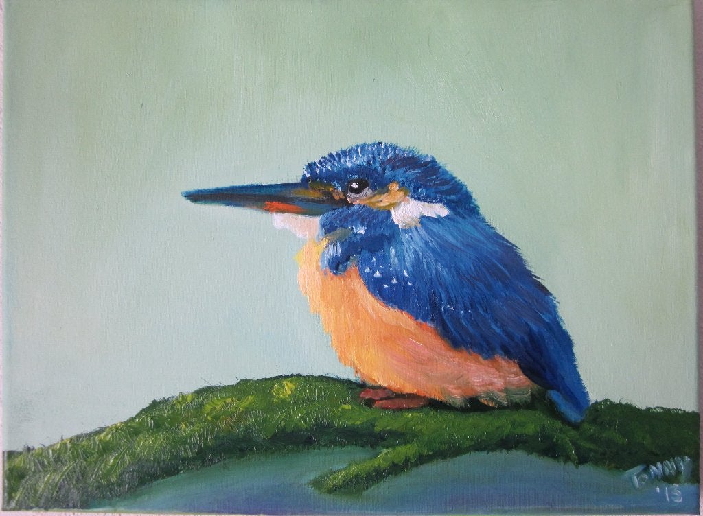 Ijsvogel, Ophalen of Verzenden