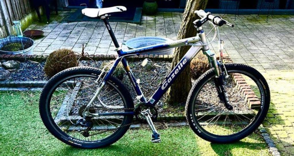 Mountainbike, Ophalen, 28 inch, Vering, Velgrem