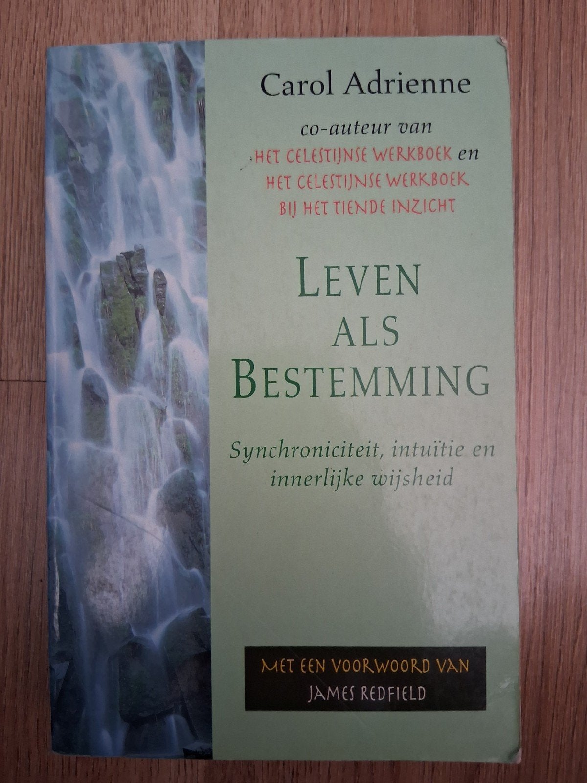 Adrienne Carol - Leven als bestemming, Achtergrond en Informatie, Ophalen of Verzenden, Zo goed als nieuw, Spiritualiteit algemeen