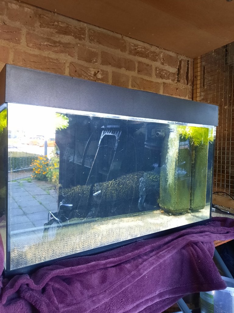 Aquarium 80x40x50, Ophalen, Verlichting of Verwarming, Zo goed als nieuw, Pomp