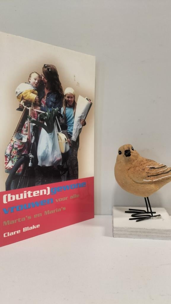 Blake, Clare; (buiten)gewone vrouwen, Boeken, Ophalen of Verzenden, Gelezen, Christendom | Protestants