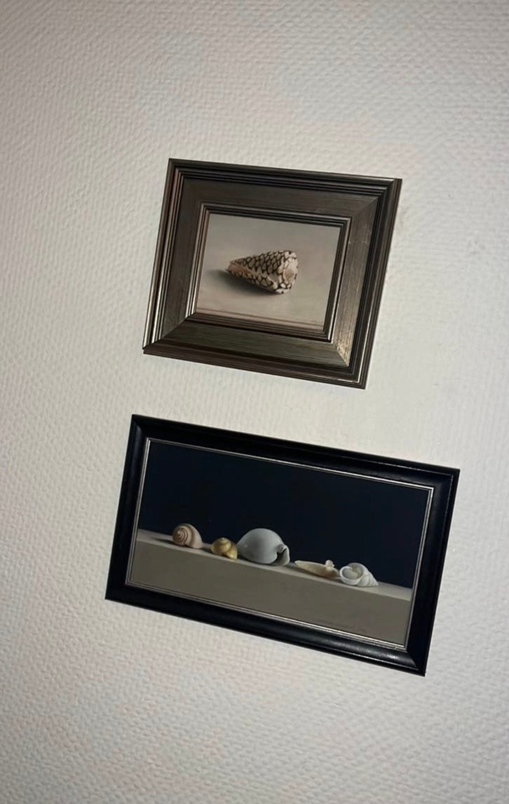 Twee prachtige schilderijen van Henk Helmantel - Schelpen, Oorspronkelijke maker, Ophalen of Verzenden, Minder dan 50 cm, Print