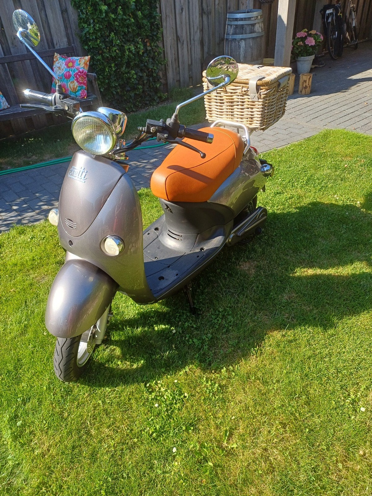 Elektrische snorscooter, Ophalen, Elektrisch, Overige merken