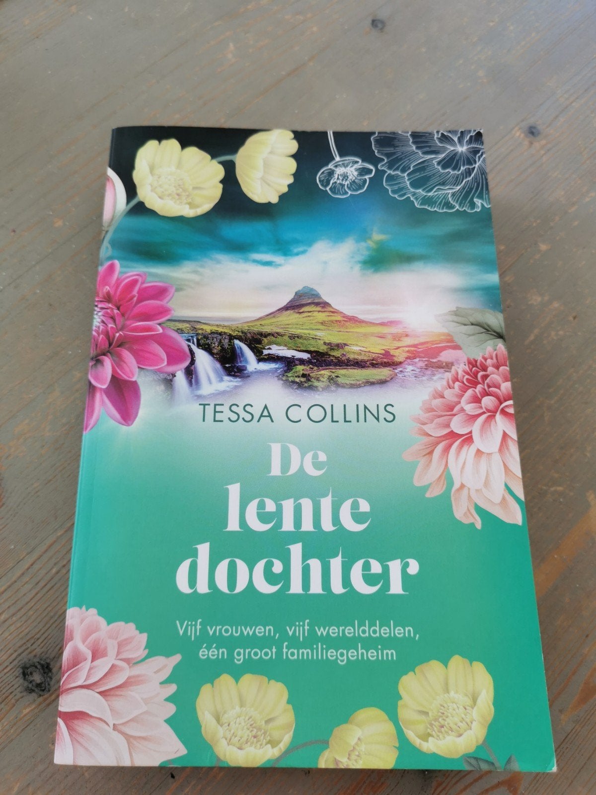 De Lente Dochter Tessa Collins, Boeken, Streekboeken en Streekromans, Ophalen of Verzenden, Zo goed als nieuw, Noord-Brabant