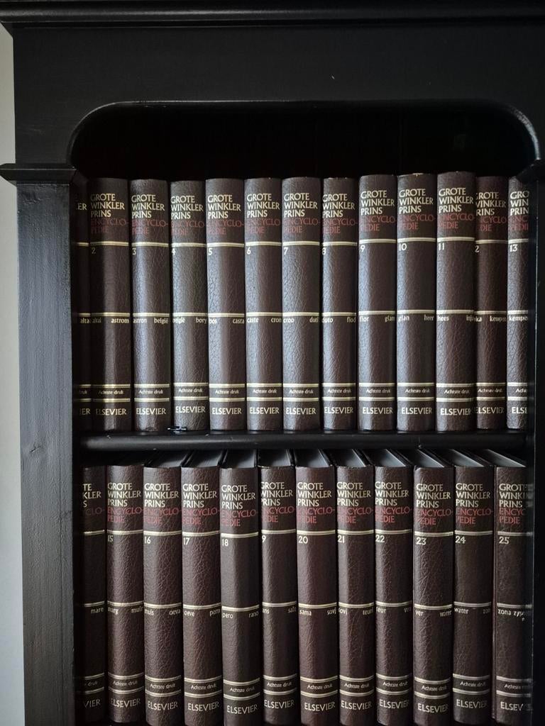 Grote WP encyclopedie, Boeken, Encyclopedieën, Ophalen of Verzenden, Zo goed als nieuw, Algemeen