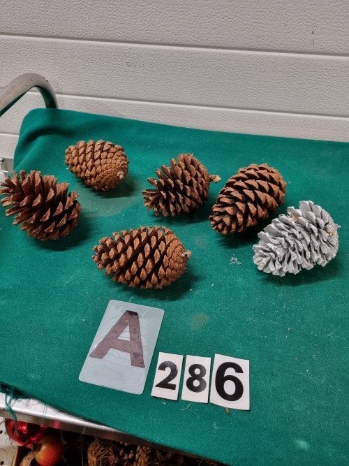 -	kerststukjes materiaal dennenappels noten, Diversen, Ophalen of Verzenden, 'T Olde Gre-j, Info@toldegrej.nl, Endepoelstraat 20f Didam