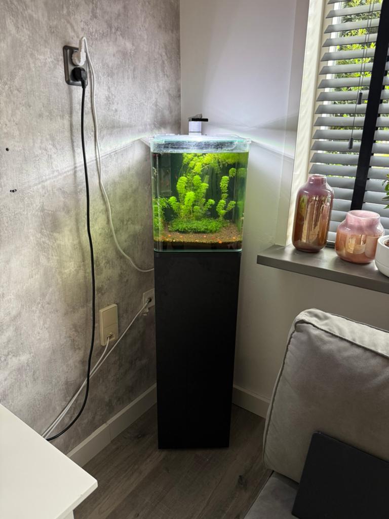 Nanocube 30 liter, Dieren en Toebehoren, Vissen | Aquaria en Toebehoren, Ophalen, Overige typen, Dennerle, Zo goed als nieuw
