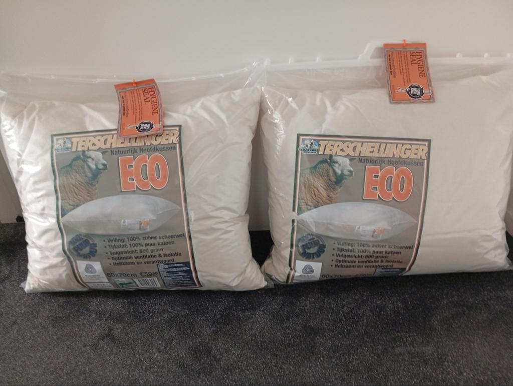 Set van 2 Terschellinger ECO Hoofdkussens - Nieuw, Overige maten, Wit, Nieuw, Ophalen of Verzenden