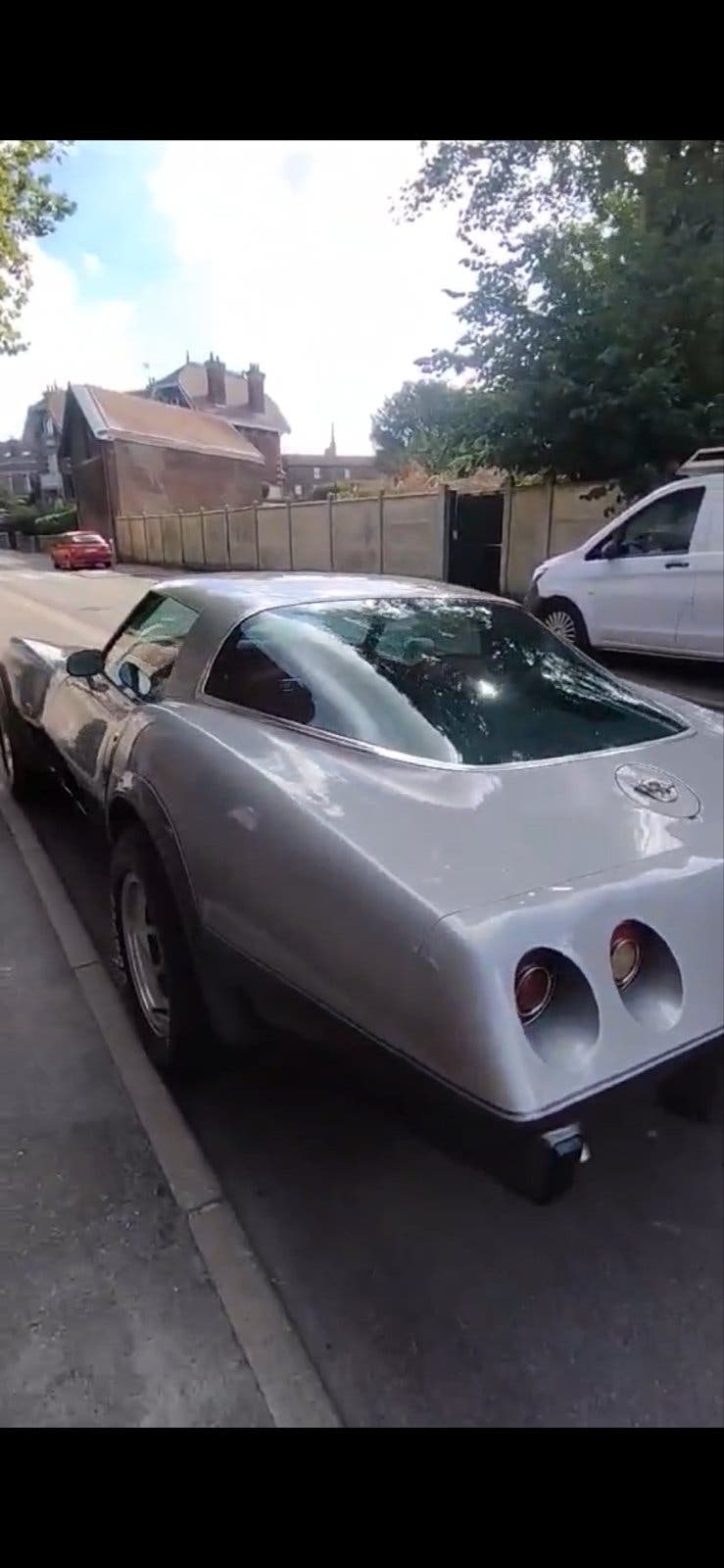 chevrolet corvette c3 25 anniversery edition 1978, foto 8