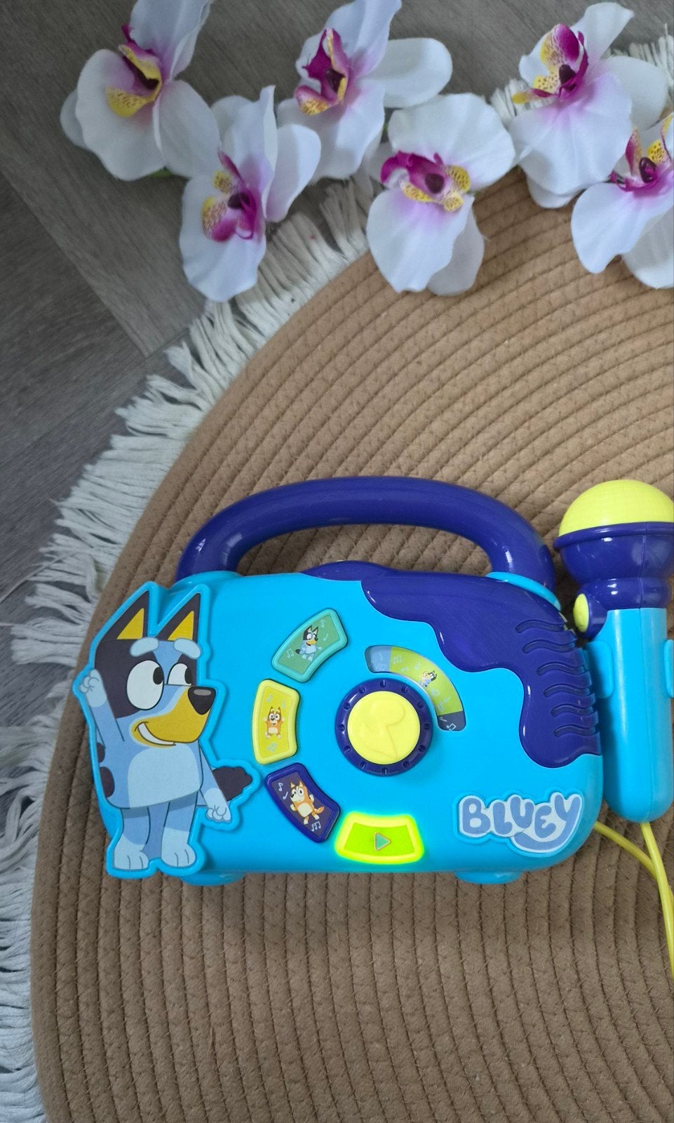 Bluey Radio met Microfoon - Muzikaal Speelgoed, Ophalen of Verzenden, Gebruikt, Overige typen, Met geluid