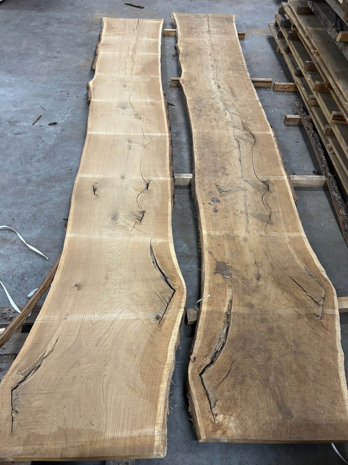 Europees Eiken boomstamblad 480cm lang KD ca 60/70cm breed