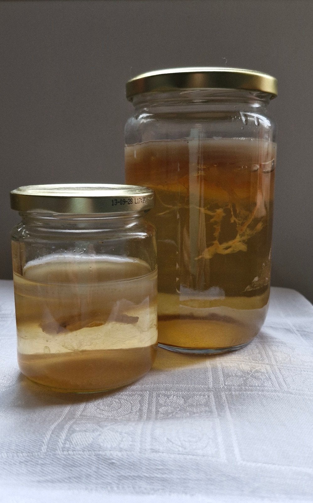 Kombucha zwam scoby met starter en recept, Ophalen