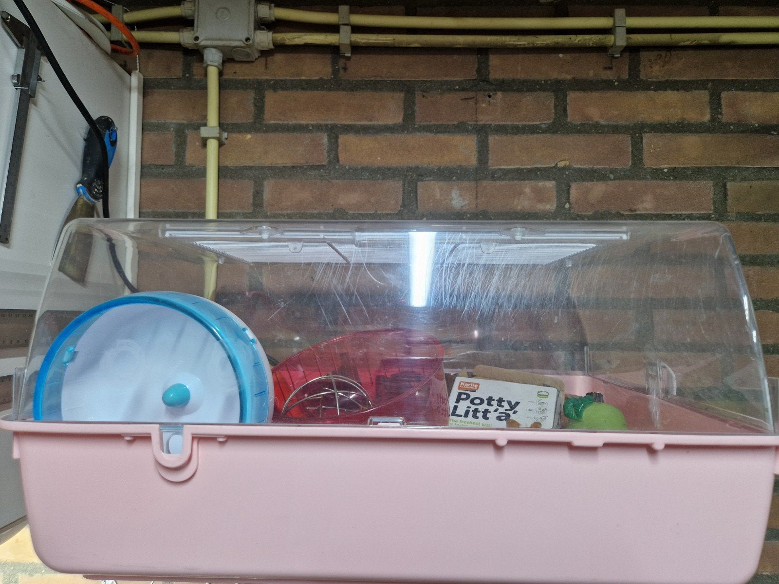 roze hamsterkooi met veel toebehoren, Kooi, Hamster, Ophalen, Minder dan 60 cm