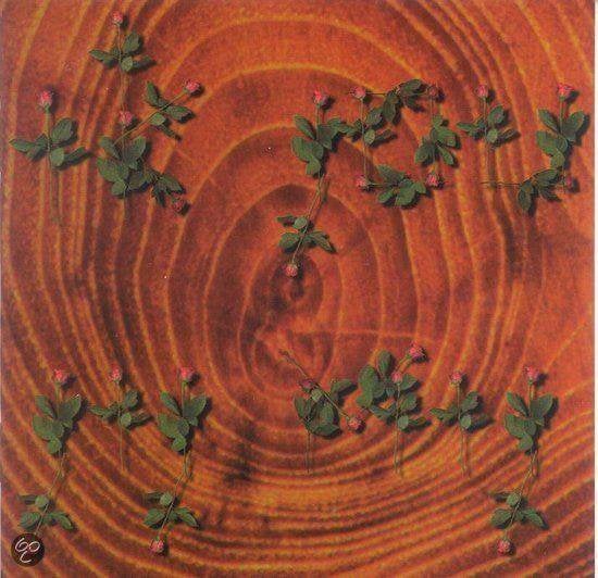 SALE--CD VAN DIK HOUT-Ik Jou & Jij Mij + Bonus CD, Verzenden, Zo goed als nieuw, Poprock