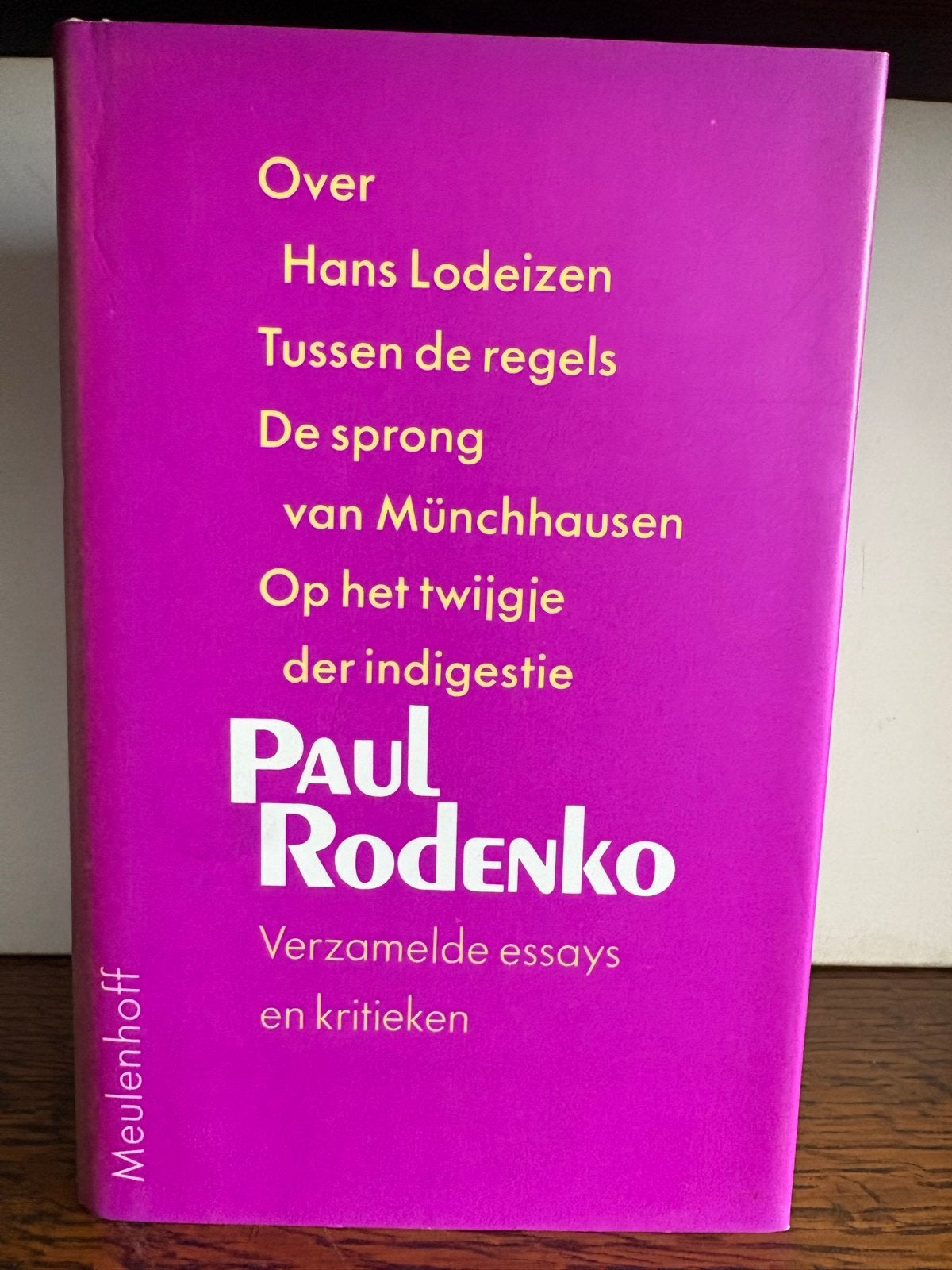 Paul Rodenko - Verzamelde essays en kritieken, Boeken, Ophalen of Verzenden, Gelezen, Eén auteur