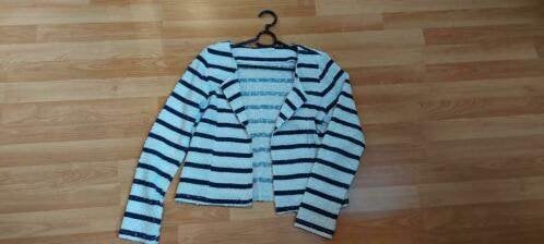 Leuk gestreept jasje met pailletten wit met donkerblauw, Kleding | Dames, Ophalen of Verzenden, Gedragen, Maat 38/40 (M), Wit