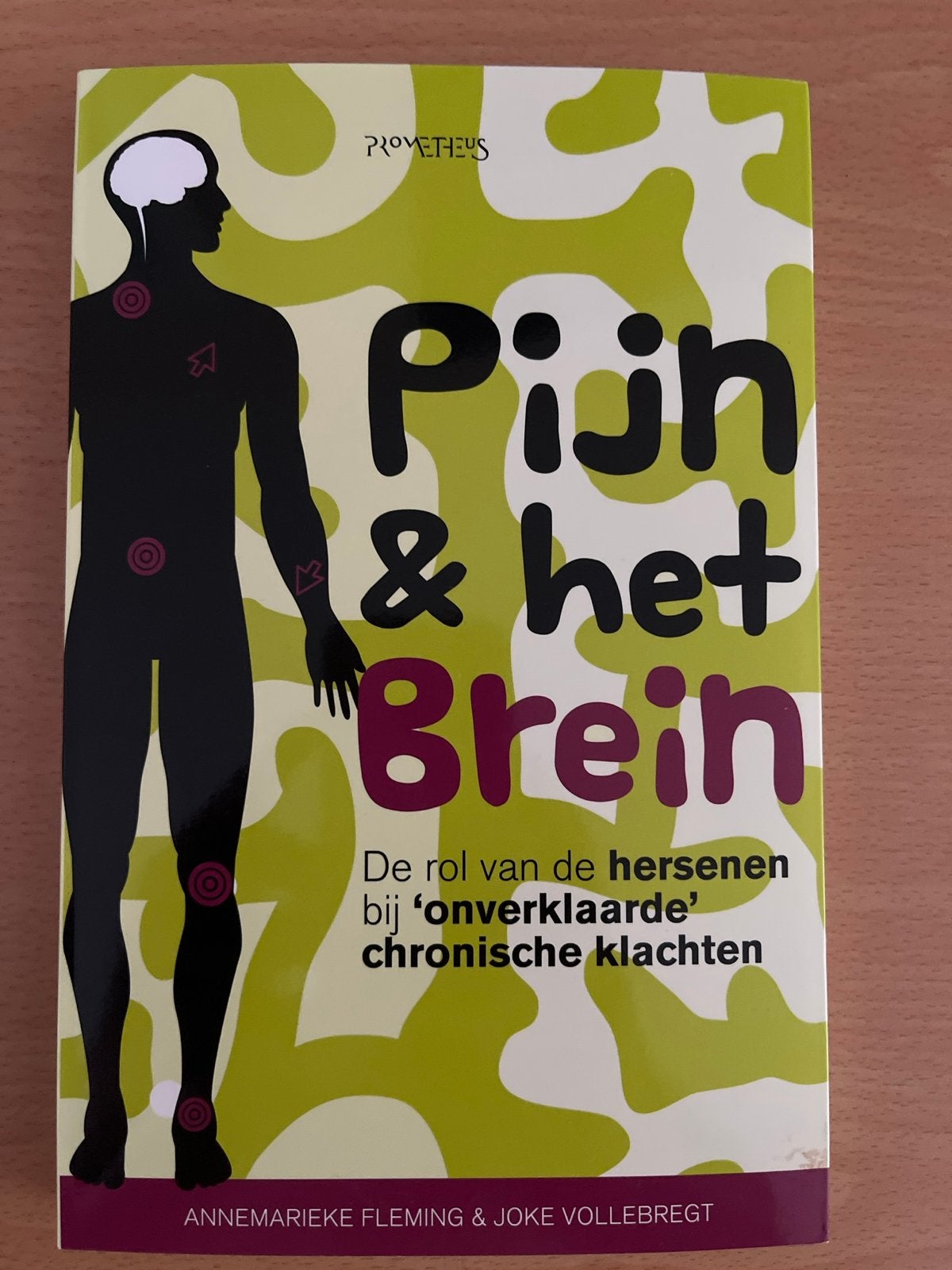 Pijn & het Brein: De rol van hersenen bij chronische klachte, Boeken, Ophalen of Verzenden, Zo goed als nieuw, Gezondheid en Conditie