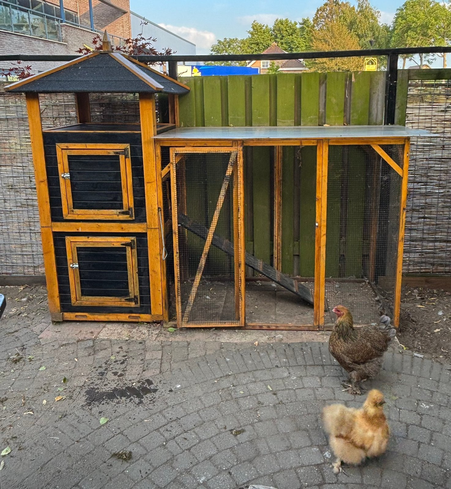 KIPPENHOK zie omschrijving, Dieren en Toebehoren, Pluimvee | Toebehoren, Ophalen, Zo goed als nieuw, Kippenhok of Kippenren