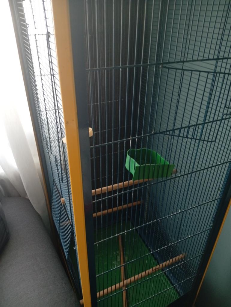 Vogelkooi, Dieren en Toebehoren, Ophalen, Gebruikt, Metaal, Vogelkooi